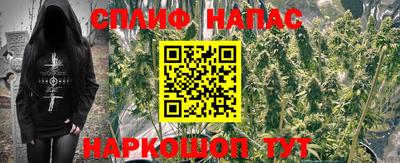 ALPHA PVP Пугачёв