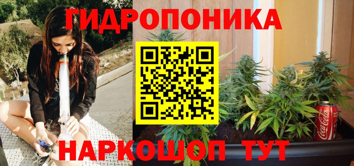 Конопля LSD WEED Свободный